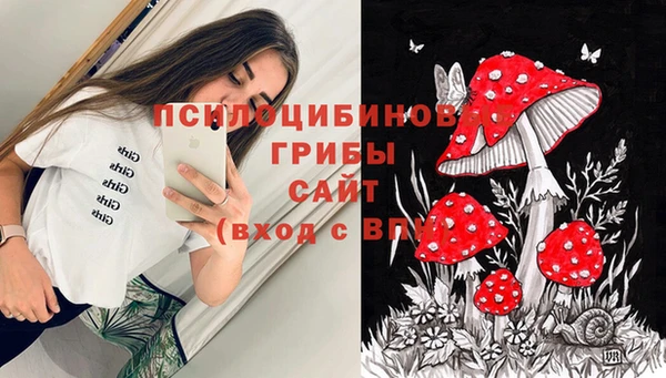 шишки Бугульма