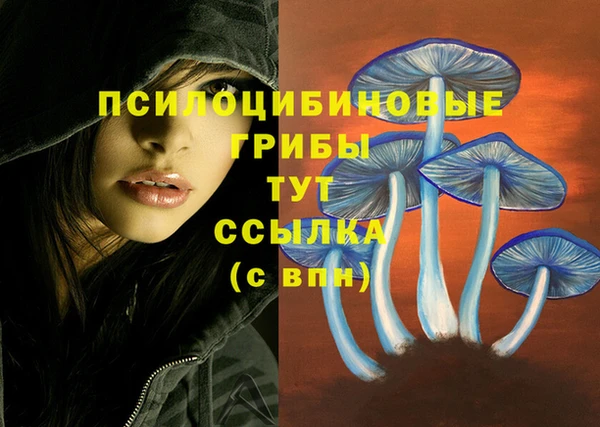 твердый Богородск