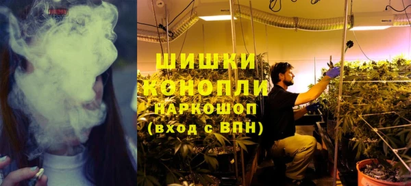 шишки Бугульма