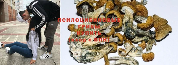 прущая мука Бородино
