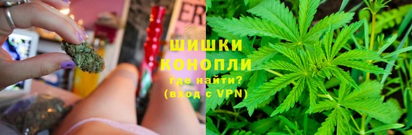 PSILOCYBIN Елабуга